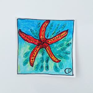 The starfish is the STAR of the deep blue sea   