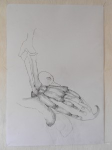 hidden duck, Bleistift 63 x 44 cm                                               