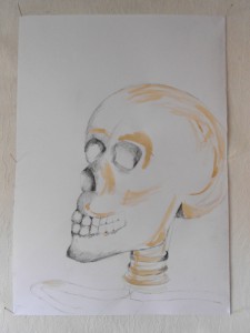 skeleton-study 2 head, Bleistift 63 x 44 cm                                                
