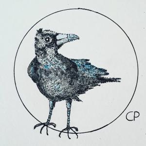 Crow      