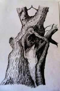 Old tree     